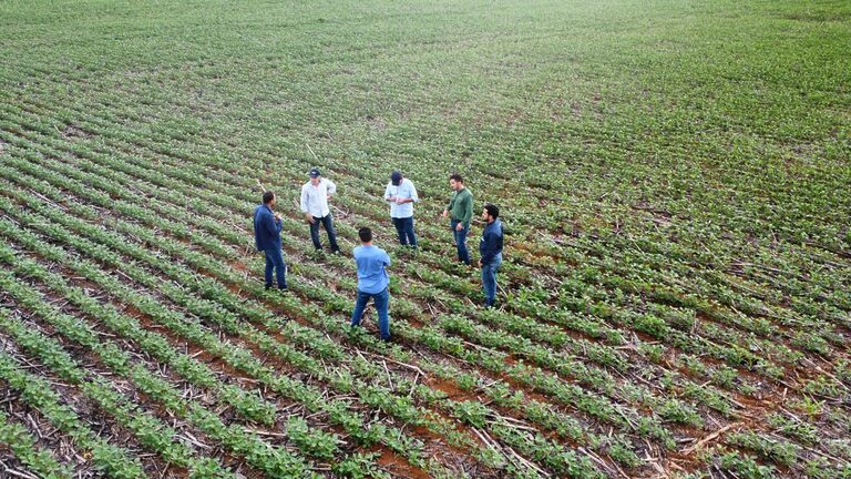 Evento em Sorriso destaca oportunidades e inovação no cultivo de arroz em terras altas no norte de Mato Grosso