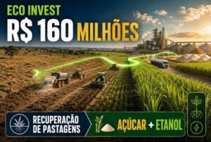 Eco Invest destina R$ 160 milhões à recuperação de pastagens degradadas para produção de açúcar e etanol