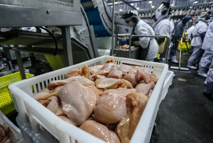 Excesso de oferta pressiona preços do frango, mas exportações avançam mais de 40%