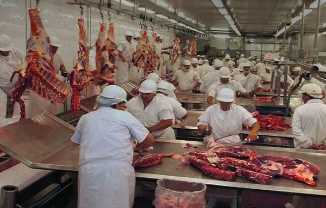 'O impacto será menor do que o estimado', avalia Acrimat sobre 'boicote' da UE