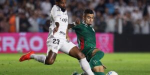Brasileirão: Palmeiras fica no zero com o Santos e Flamengo agradece