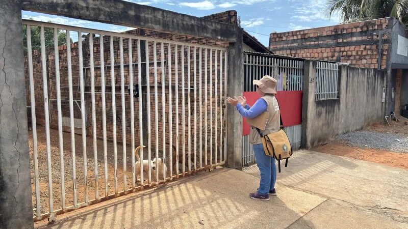 Pente-fino contra a dengue: agentes inspecionam 20 mil imóveis e reforçam mutirão na Região dos Vilas em Sinop