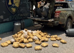 Polícia apreende 73 quilos de skunk escondidos em tambores de leite em Mato Grosso