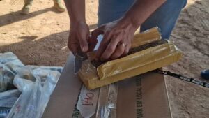 Polícia Civil, Politec e Vigilância Sanitária incineram 110 quilos de drogas em Lucas do Rio Verde