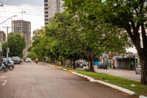 Rondonópolis entre as mais quentes do país: entenda como a arborização pode baixar o calor em até 8°C